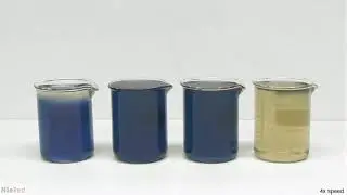 Научный опыт