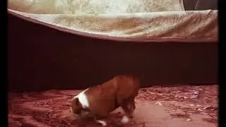 И тут я офигел от такой наглости!!!