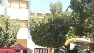 بث مباشر استكمال الافتتاح
