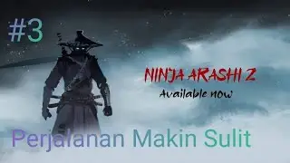 Ninja Arashi 2 (#3) Stage 7,8,9