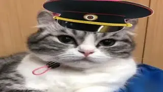Все взрывы из моих пупов 2.0