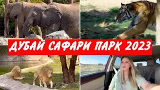 DUBAI SAFARI PARK / ALL YOU NEED TO KNOW / SAFARI PARK DUBAI 