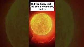Did you know that the Sun is not yellow, but ... #sun #science #yellow #space #astronomy #nasa