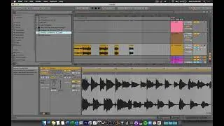 Ableton Live 10  File Import