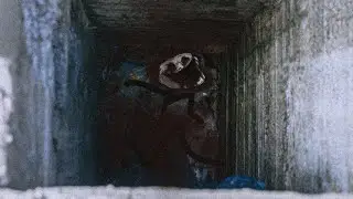 The Trollge: 