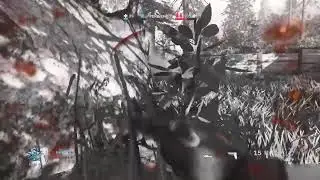 PROBANDO EL NUEVO COD