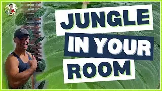 I Created a DIY Trellis for Climbing Plants and It Changed My Bedroom!