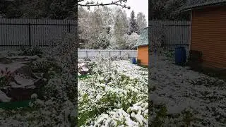 7 мая🌨❄☃️ЗИМА в Подмосковье
