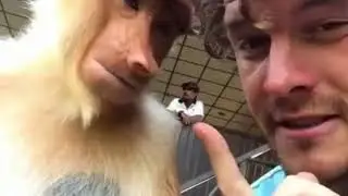 Невеста носатая