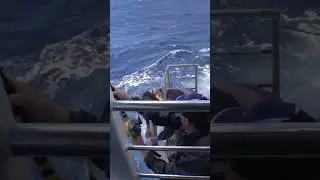 When a big predator strikes! #dogtooth #tuna #trolling #reeffishing #fishing #reef #offshore