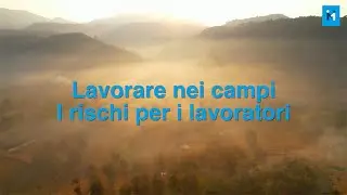 Lavorare nei campi. I rischi per i lavoratori