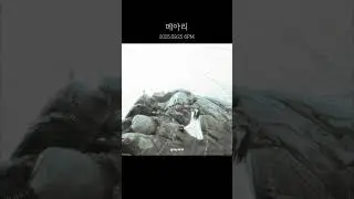 gongwon ‘메아리(echo)‘ 2025.09.25 THU 6PM (KST) | 𝒕𝒆𝒂𝒔𝒆𝒓 𝒑𝒉𝒐𝒕𝒐 #공원 #gongwon #메아리 #echo #shoegaze