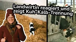 Landwirtin reagiert und zeigt Kuh-Kalb-Trennung