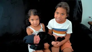 JOISAH AND NELANI MEET THEIR NEWBORN BROTHER!!! **ADORABLE**