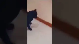 Выживет хитрейший 😂