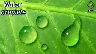 How to make water drops in photoshop in tamil.
