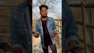 Zoom Test Realme 10 Pro Plus Vs Redmi Note 12 Pro Plus | 200MP Vs 108MP Zoom Test #shorts