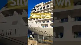 Cruise ship in port. #shorts #ship #passengership #tourism #travel #pixel7pro