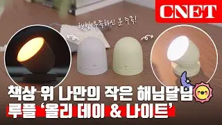 루플 올리 데이&나이트: 불면증이여, 이제 👋안녕! 햇살 담은 깜찍한 수면 도우미☀️ | #Review