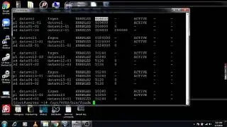 6. (VxVM) Veritas Volume Manager Volume  resize volume by Growby and Growto