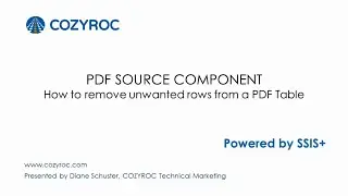 PDF Source SSIS component. How to remove unwanted rows from a PDF table.