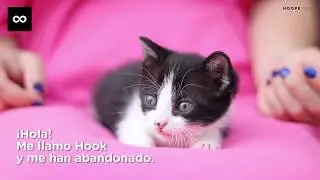 Hook: Sueño cada noche con un hogar donde crecer...