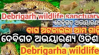 Debrigarh wildlife sanctuary #Debrigarh odisha #Debrigarha vlog video #viral video #vira vlog