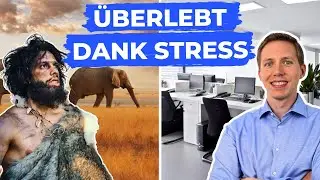 Warum ist Stress wichtig? Einfache psychologische Erklärung mit Beispielen aus dem Alltag