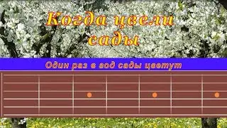 Когда цвели сады | Гитара на одной струне