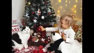 Праздник к нам приходит