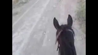 Конный маршрут в горах Крыма