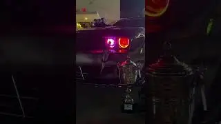 Car show in Dubai