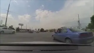 Верблюд Ростова