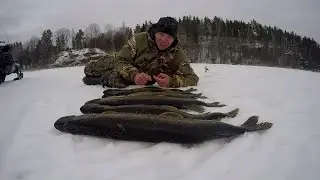 ПОПАЛ НА ЖОР ЩУКИ. Весенняя рыбалка в Карелии. Третий день. Проверка жерлиц.