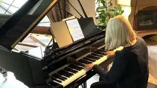 Genshin Impact OST - Moon in One's Cup // Piano Cover [slower]