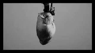 "Heartbeat" de Bruna Belmonte