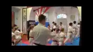 Uechi Ryu Army