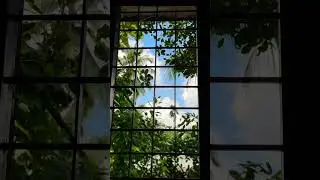 Is it really beautiful 🤩 #mywindow #sky #green #clouds #iphone15promax #shotwithiphone