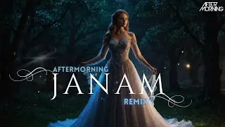 Jaanam Remix | Aftermorning | Bad Newz | Vicky Kaushal | Triptii Dimri | Vishal Mishra