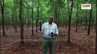 About Sai properties and projects Red sandals farm lands/ Best investment plan 