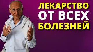 Как Никогда Не Болеть Торсунов О Г