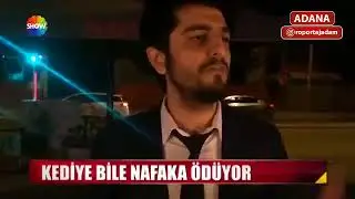 Kediye Nafaka Ödeyen Adanalı Çıldırdı