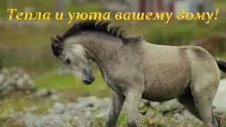 Доброе утро! Я желаю счастья вам - Валерий Капризов.