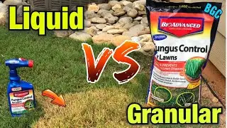 Best Fungus control for Bermuda Grass // Bio Advanced // Dollar spot , brown patch quick fix