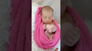 dia de fotografar a princesa