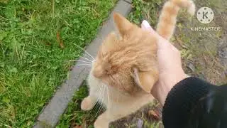ПРИЕХАЛИ В КИЕВ   ТЕРРОР ПРОДОЛЖАЕТСЯ ....😡