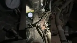24 ноября 2022 г.