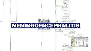 MENINGOENCEPHALITIS