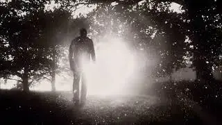 Zéro dream / Wavestate