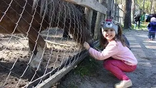 Что творят эти животные?! Орловское Полесье